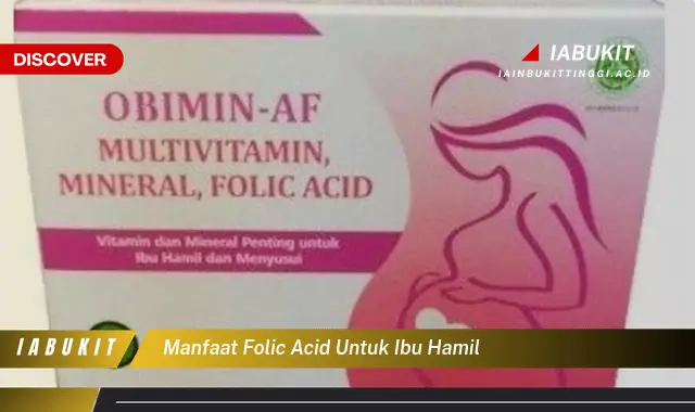 manfaat folic acid untuk ibu hamil