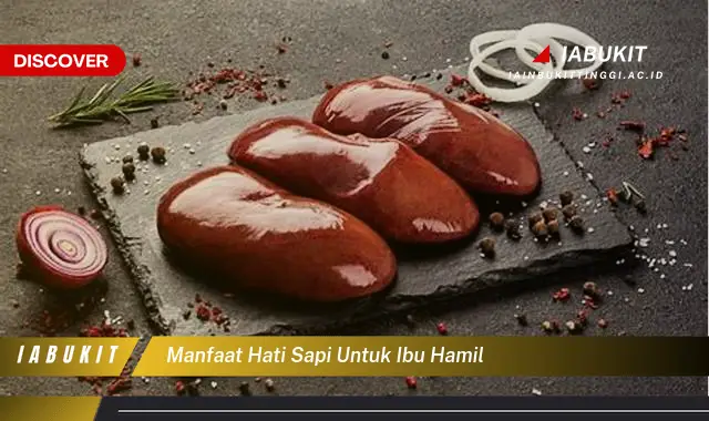 manfaat hati sapi untuk ibu hamil