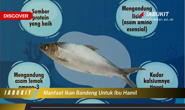 manfaat ikan bandeng untuk ibu hamil