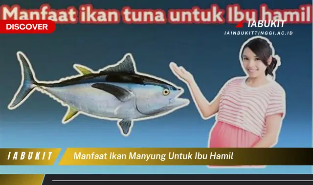 manfaat ikan manyung untuk ibu hamil manfaat ikan manyung untuk ibu hamil