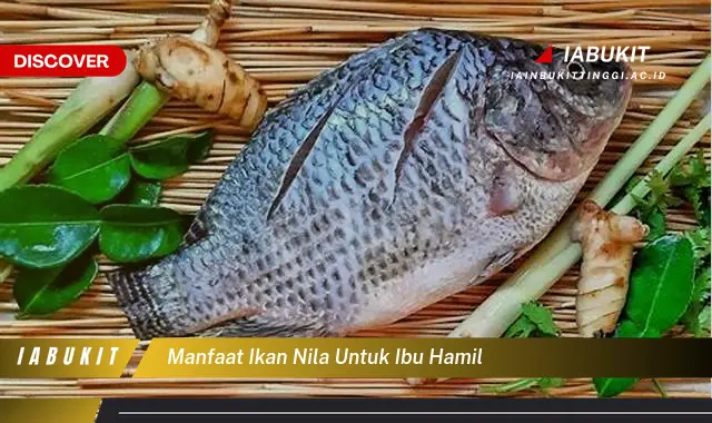 manfaat ikan nila untuk ibu hamil