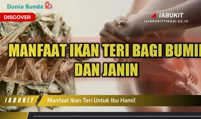 manfaat ikan teri untuk ibu hamil