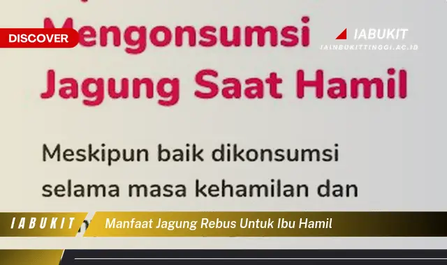 manfaat jagung rebus untuk ibu hamil