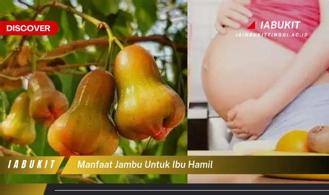 manfaat jambu untuk ibu hamil