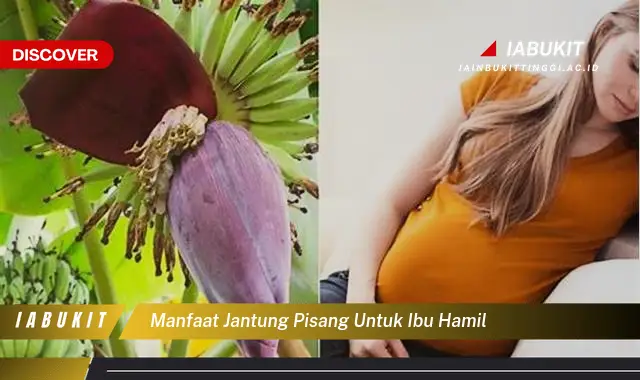 manfaat jantung pisang untuk ibu hamil manfaat jantung pisang untuk ibu hamil