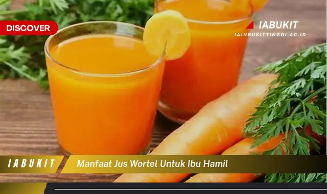 manfaat jus wortel untuk ibu hamil
