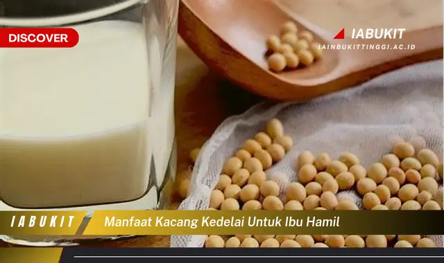 manfaat kacang kedelai untuk ibu hamil