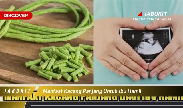 manfaat kacang panjang untuk ibu hamil