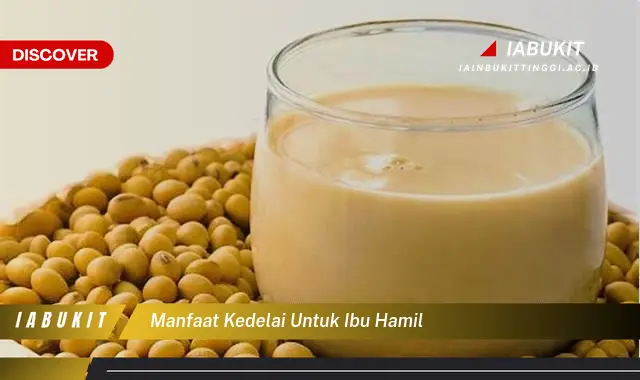 manfaat kedelai untuk ibu hamil