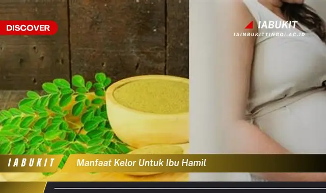 manfaat kelor untuk ibu hamil