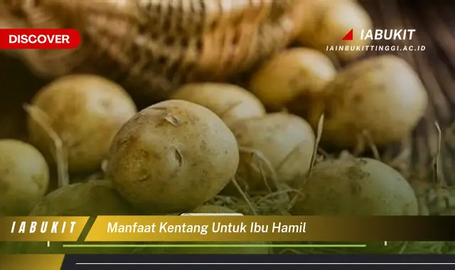 manfaat kentang untuk ibu hamil