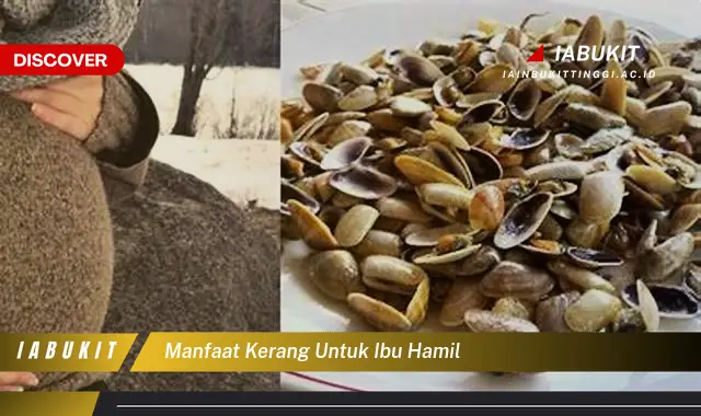 manfaat kerang untuk ibu hamil