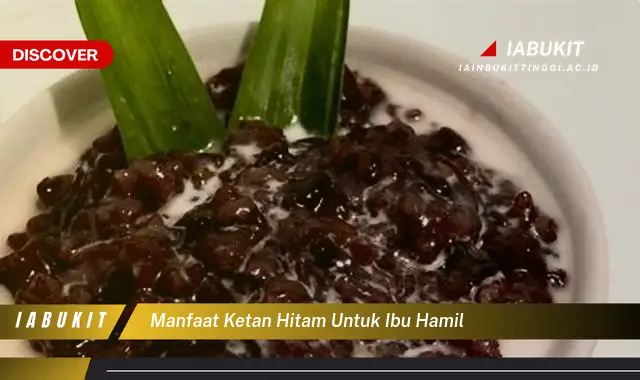 manfaat ketan hitam untuk ibu hamil