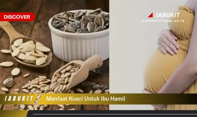 manfaat kuaci untuk ibu hamil