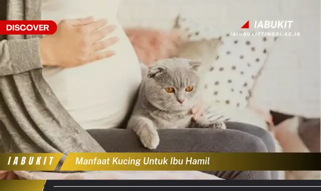 manfaat kucing untuk ibu hamil