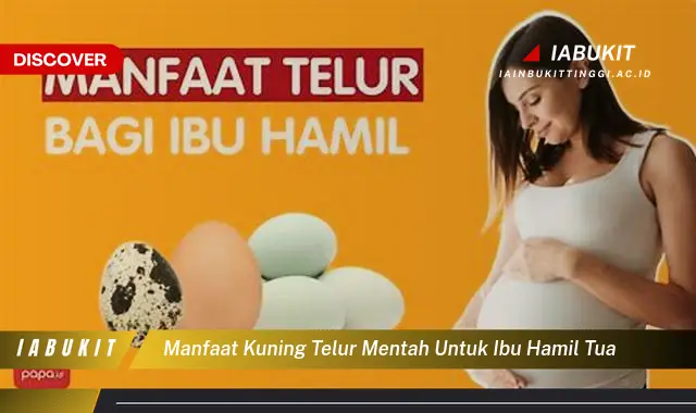 manfaat kuning telur mentah untuk ibu hamil tua