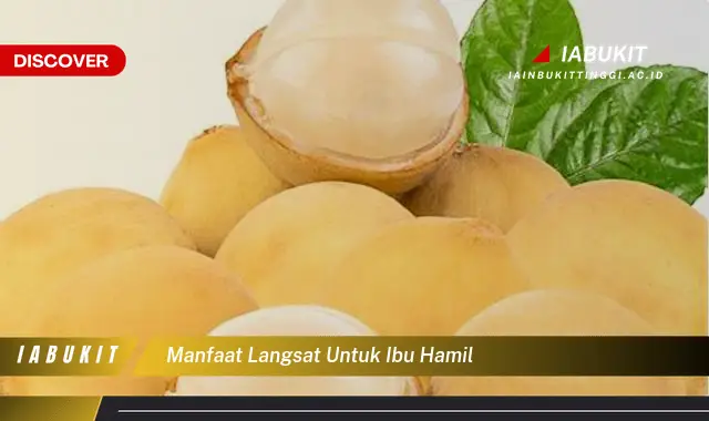 manfaat langsat untuk ibu hamil manfaat langsat untuk ibu hamil