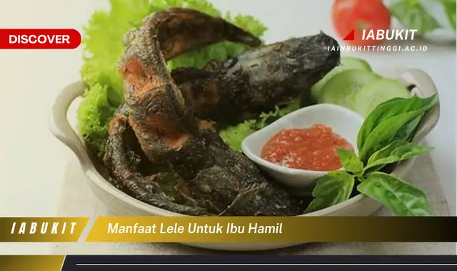 manfaat lele untuk ibu hamil