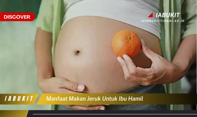 manfaat makan jeruk untuk ibu hamil manfaat makan jeruk untuk ibu hamil
