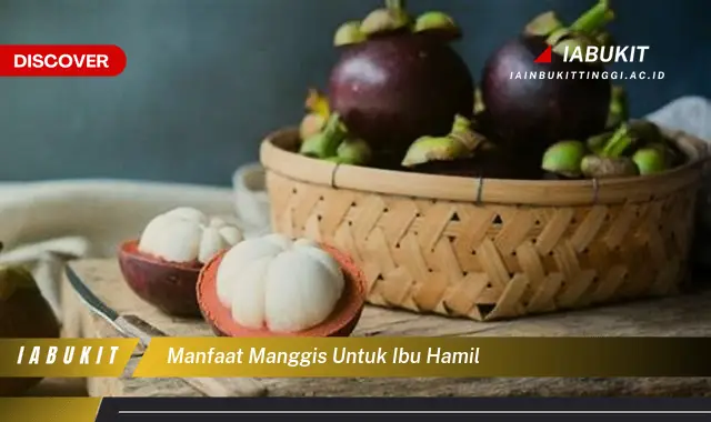 manfaat manggis untuk ibu hamil manfaat manggis untuk ibu hamil
