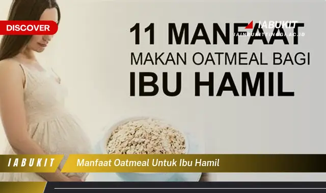 manfaat oatmeal untuk ibu hamil