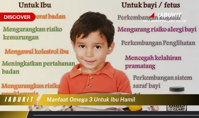 manfaat omega 3 untuk ibu hamil