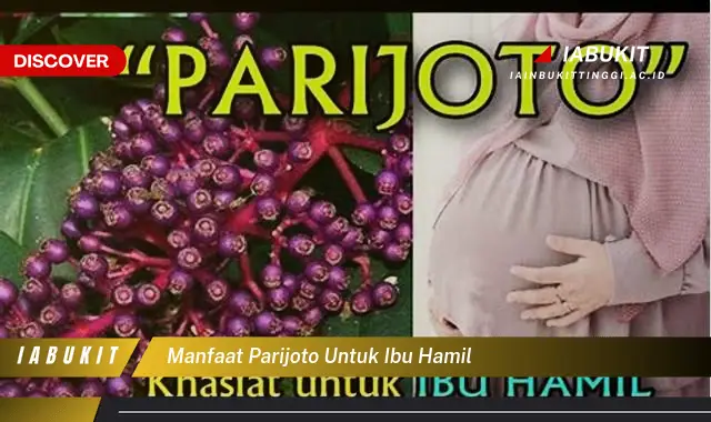 Temukan Manfaat Parijoto untuk Ibu Hamil yang Jarang Diketahui