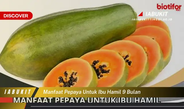 manfaat pepaya untuk ibu hamil 9 bulan manfaat pepaya untuk ibu hamil 9 bulan