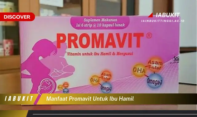 manfaat promavit untuk ibu hamil