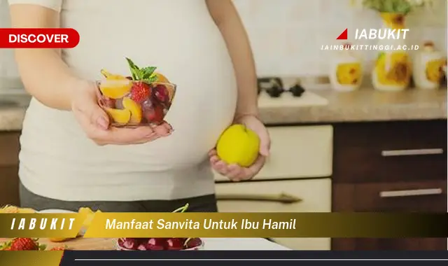 manfaat sanvita untuk ibu hamil