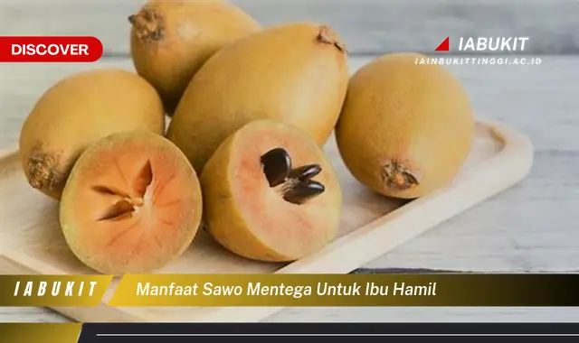 manfaat sawo mentega untuk ibu hamil