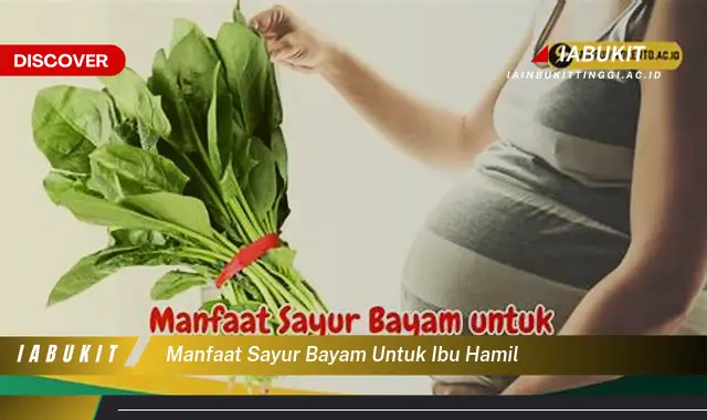 manfaat sayur bayam untuk ibu hamil