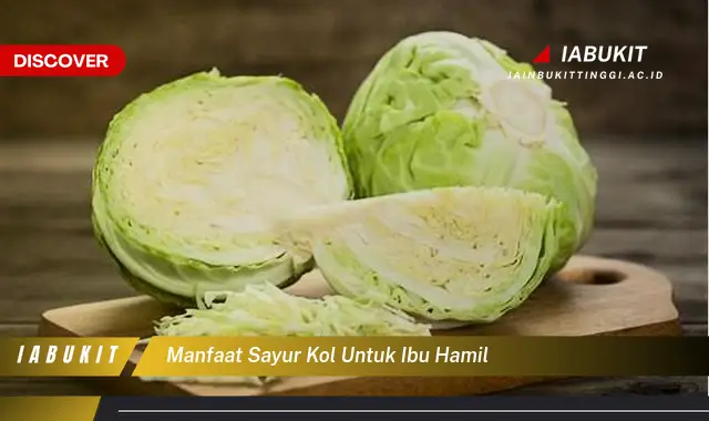 manfaat sayur kol untuk ibu hamil manfaat sayur kol untuk ibu hamil