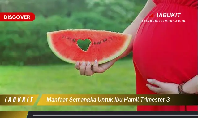 manfaat semangka untuk ibu hamil trimester 3