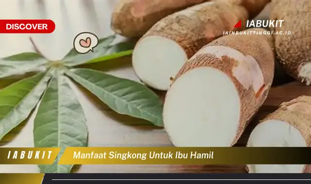 manfaat singkong untuk ibu hamil manfaat singkong untuk ibu hamil