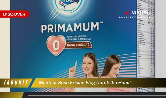 manfaat susu frisian flag untuk ibu hamil manfaat susu frisian flag untuk ibu hamil