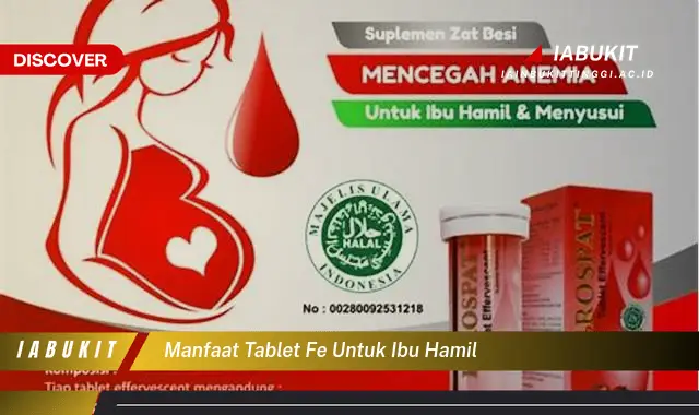 manfaat tablet fe untuk ibu hamil