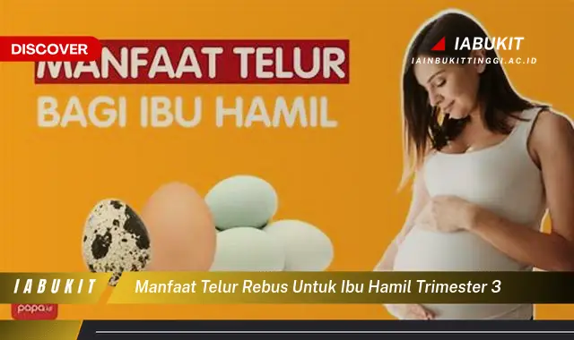 manfaat telur rebus untuk ibu hamil trimester 3