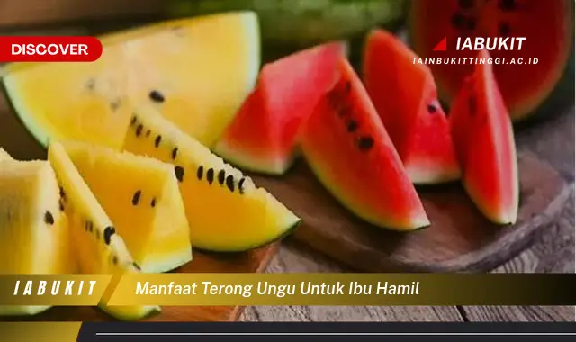 manfaat terong ungu untuk ibu hamil