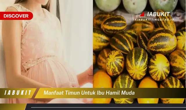 manfaat timun untuk ibu hamil muda