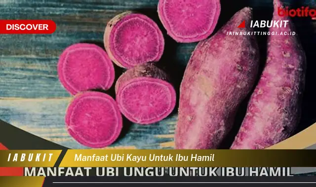 manfaat ubi kayu untuk ibu hamil