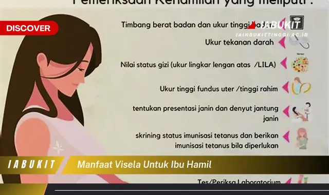 manfaat visela untuk ibu hamil manfaat visela untuk ibu hamil