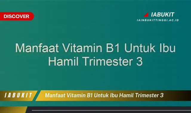 manfaat vitamin b1 untuk ibu hamil trimester 3