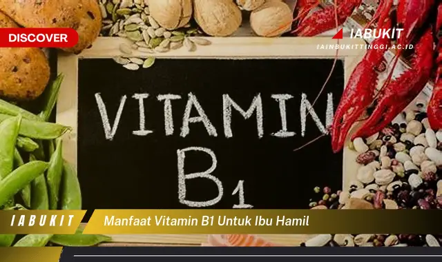 manfaat vitamin b1 untuk ibu hamil