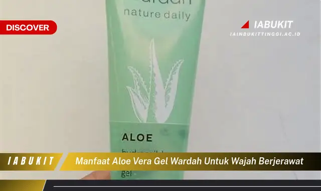 manfaat aloe vera gel wardah untuk wajah berjerawat