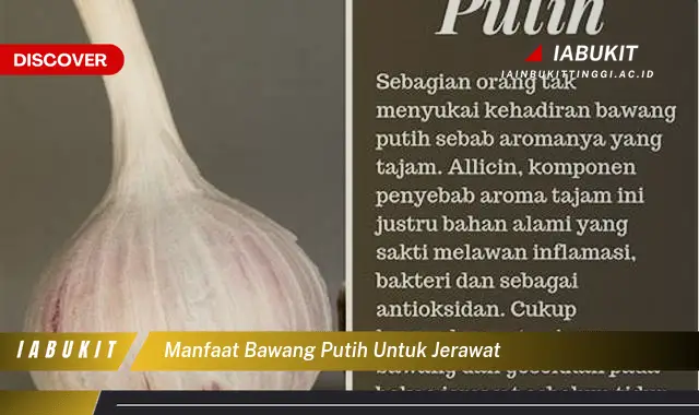manfaat bawang putih untuk jerawat
