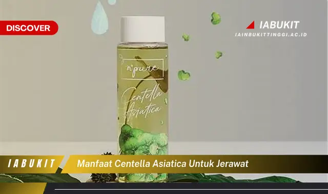 manfaat centella asiatica untuk jerawat