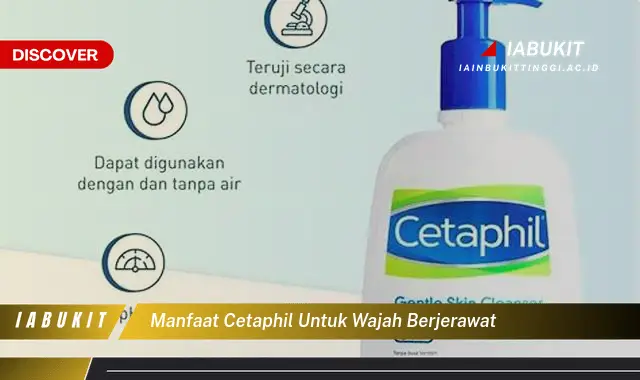 Ketahui 7 Manfaat Cetaphil Untuk Wajah Berjerawat Bikin Kamu Penasaran