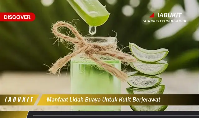 Banyak yang Belum Tau, Inilah 7 Manfaat Lidah Buaya untuk Jerawat yang Wajib Diintip