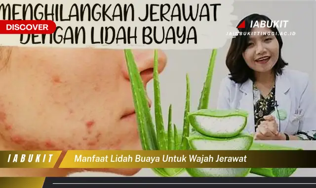 manfaat lidah buaya untuk wajah jerawat